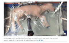 我们能这个“机械人娃”吗？仍是又一个被遗忘