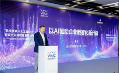 <b>科多年前便系统性结构AI手艺架构</b>